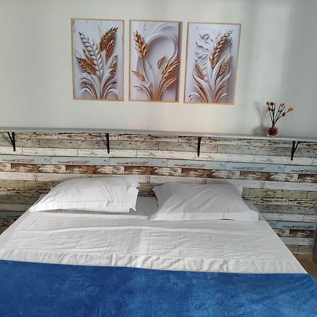 Alpha Hospedaria & Hostel Londrina Ngoại thất bức ảnh